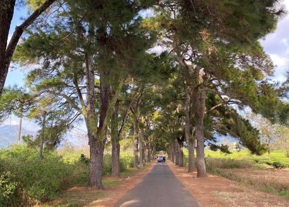 kinh nghiệm du lịch tây nguyên 4n3Đ tự túc